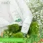 168acc9fe397d2bf830437b082805c34