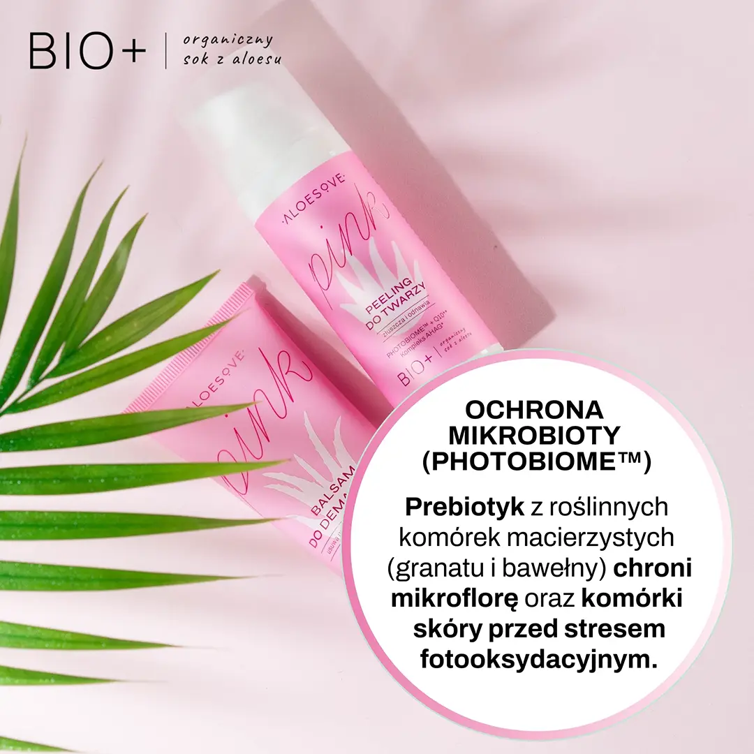 844611b1cbd6320c244a6704cf150e2f