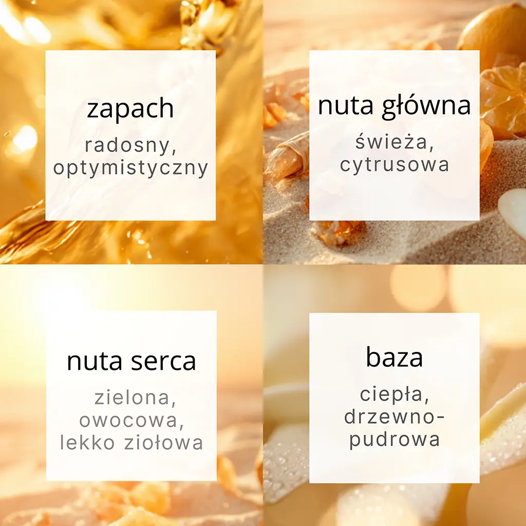 3528b646a15be23c0758209bd505fb84