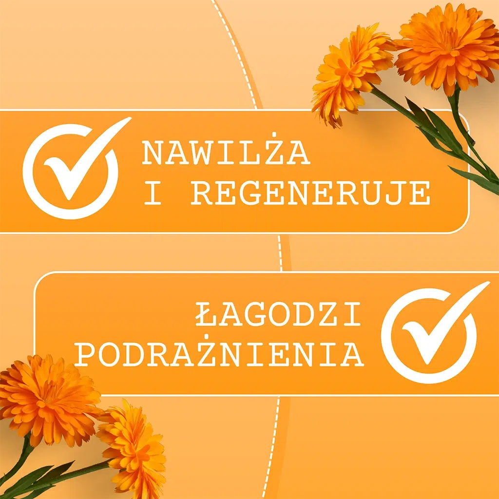 f25946cb26613ee8430484d58950acd1.webp 26383cc470ce9c6d0a7befe5b1a61d0e