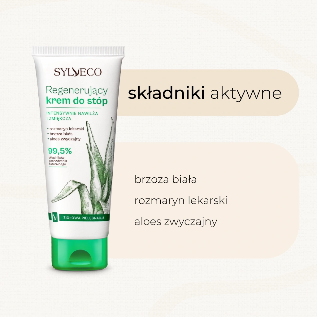 b96717e4bc81901702fa66c6426048e8